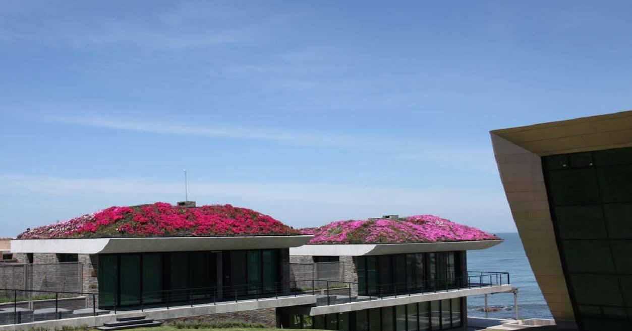Playa Vik Jose Ignacio Villa Luaran gambar